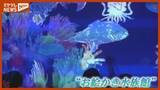 「描いた絵が海の中を泳ぐ！アート展「お絵かき水族館」　宮城・女川町」の画像1