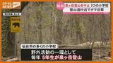 「【登山を中止】登山道付近でクマ目撃、泉ヶ岳登山を予定していた仙台市内3つの小学校」の画像1