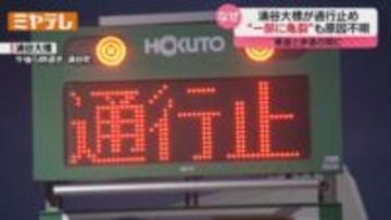 【通行止め】江合川にかかる『涌谷大橋』一部に亀裂を確認…詳しい原因は不明（宮城・涌谷町）