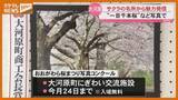 「『サクラ』がテーマ…写真コンクール作品展、サクラの名所『一目千本桜』がある大河原町・宮城」の画像1