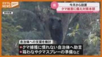 「4月以降 クマ目撃情報が」宮城県が設置・野生鳥獣被害 対策本部＜クマ被害対策＞