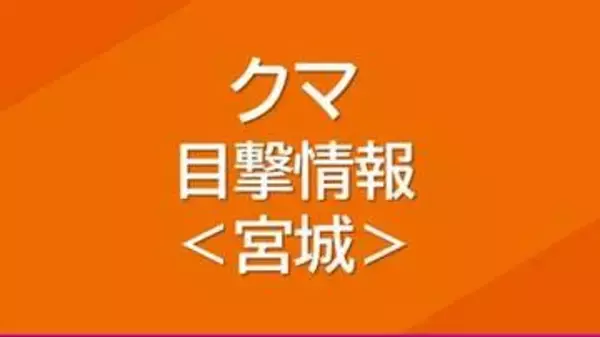 栗原市築館でクマ1頭目撃”住宅地の田んぼを走る姿”・宮城