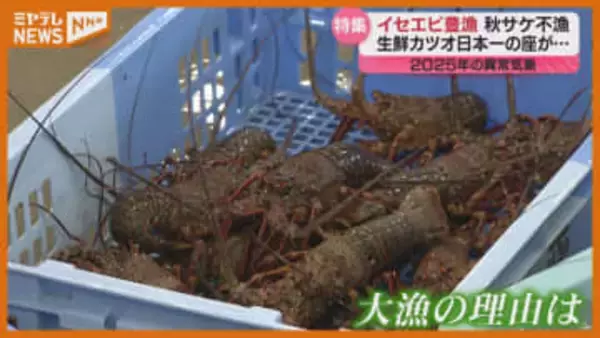 【特集】大雨や海の生態系の変化…宮城でも『異常気象』＜2025年振り返り＞