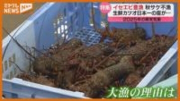 【特集】大雨や海の生態系の変化…宮城でも『異常気象』＜2025年振り返り＞