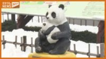 仙台市　ジャイアントパンダ誘致へ旧ジャニーズ事務所と結んだ覚書解消　誘致は継続へ