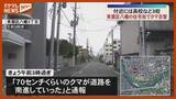 「「70センチくらいのクマが」青葉区八幡の住宅街で目撃 警察が注意呼びかけ＜仙台・青葉区＞」の画像1