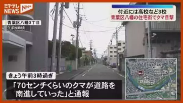 「70センチくらいのクマが」青葉区八幡の住宅街で目撃 警察が注意呼びかけ＜仙台・青葉区＞