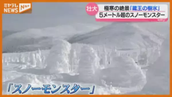 空からも…蔵王の『樹氷』、迫力ある"スノーモンスター"現る（宮城）