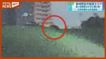 道路を横切る黒い影…宮城野区扇町の国道近くでクマ目撃　宮城・仙台市