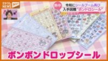 【特集】子供たちが夢中！シール活動＝「シル活」爆発的人気の理由とは？