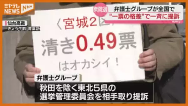 「衆院選1票の格差是正を」弁護士グループが全国一斉に提訴〈宮城県〉