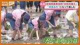 「「せーの、よいしょー」県農業高校では『全校田植え』…『留学生』の田植え体験も（宮城）」の画像1