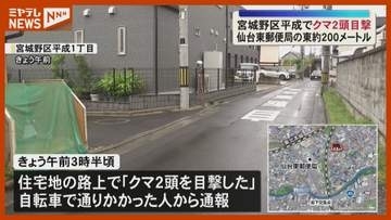 「クマ2頭を目撃した」宮城野区平成の住宅街 未明にクマ親子が出没か＜仙台＞