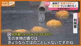 「『ユズ湯』でいい湯だな…給食で『冬至カボチャ』、本来の寒さ戻った22日は『冬至』（宮城）」の画像1