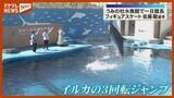 「【就任】フィギュアスケートの佐藤駿選手、仙台うみの杜水族館の「一日館長」に」の画像1