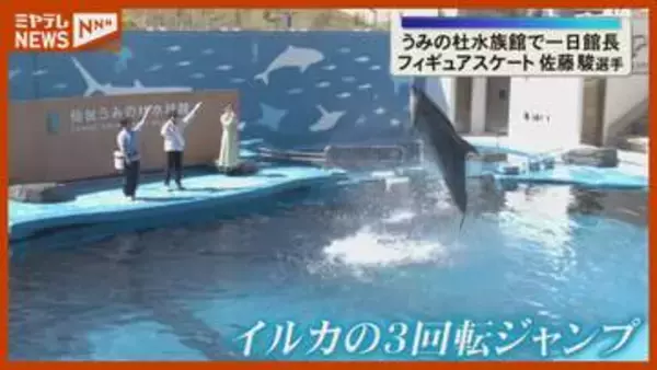 【就任】フィギュアスケートの佐藤駿選手、仙台うみの杜水族館の「一日館長」に