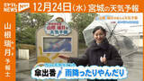 「“傘の出番 雨降ったりやんだり” 24日(水)宮城の天気」の画像1