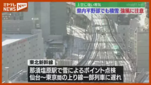 東北新幹線やJR在来線に遅れも…平地でも『雪』、午後は強風に注意（12日・宮城県）