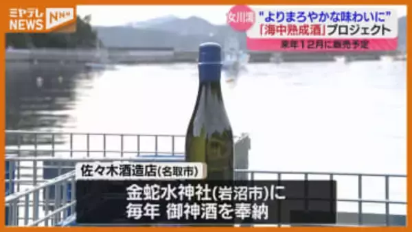 お神酒を“海中熟成”、酒造会社と神社が海に日本酒沈めて熟成させるプロジェクト（宮城）