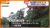 「【台風6号】宮城では3日夜遅くまで雨が降り続く見込み、仙台市青葉区では木が電線に引っかかり撤去作業」の画像1