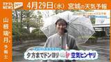 「“夕方までドンヨリ 空気ヒンヤリ” 29日(水)宮城の天気」の画像1
