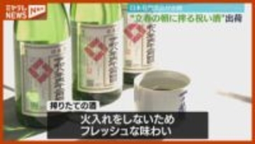 【立春】酒蔵が朝に搾った祝い酒『立春朝搾り』出荷…暦の上では春（宮城・大崎市）