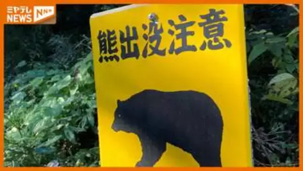 住宅街で…「クマと鉢合わせた」付近には大学も（仙台市）