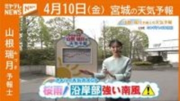 “サクラ雨　『沿岸部』は強い南風に注意” 10日(金)宮城の天気