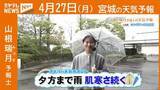 「“夕方まで雨 肌寒さ続く” 27日(月)宮城の天気」の画像1