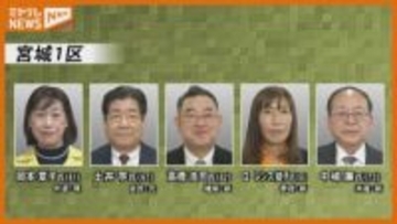 【衆院選】宮城1区～5区顔ぶれは？ およそ10年続いた野党間の選挙協力は行われず