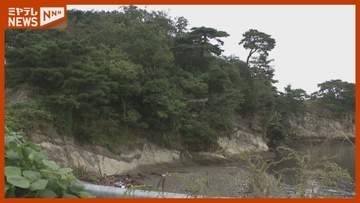 海へ飛び込んだとみられるクマ、陸で目撃 ＜宮城・塩釜市＞