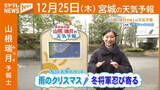 「“雨のクリスマス 冬将軍忍び寄る” 25日(木)宮城の天気」の画像1