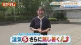 「湿気多 さらに蒸し暑く！ 14日(火 )宮城の天気」の画像1
