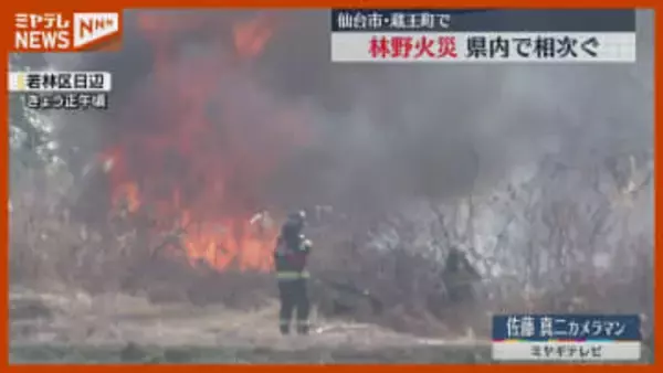 「火柱が上がっていた」仙台市と蔵王町で『林野火災』相次ぐ、いずれもけが人なし（宮城）