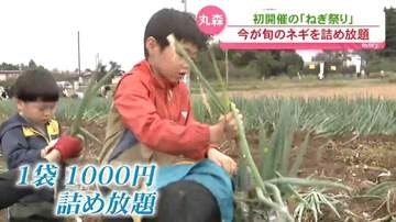 「ギッチギッチに詰める」宮城県丸森町でネギの詰め放題イベント