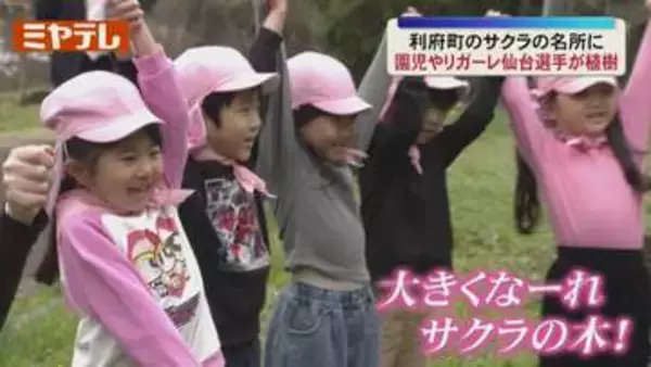 「大きくなあれ！サクラの木！」園児やリガーレ仙台のメンバー、 サクラを植樹(宮城・利府町)