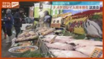 年越しに欠かせない『ナメタガレイ』、入荷が本格化(仙台市中央卸売市場)