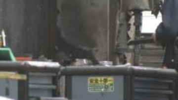 自動車販売店で火事 作業場の一部焼けるもけが人なし