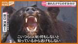 「【特集】なぜクマは市街地に？“マタギ”の警鐘から異常現象を読み解く」の画像1