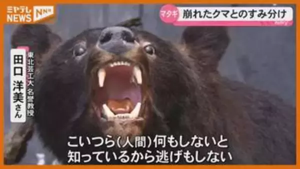 【特集】なぜクマは市街地に？“マタギ”の警鐘から異常現象を読み解く