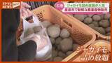 「旬の野菜や仙台牛が安く！石巻市で産直市 詰め放題も＜宮城・石巻＞」の画像1