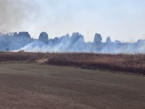 【速報】仙台市若林区日辺で“白煙”、林野火災の可能性（15日午前11時半頃 出火）