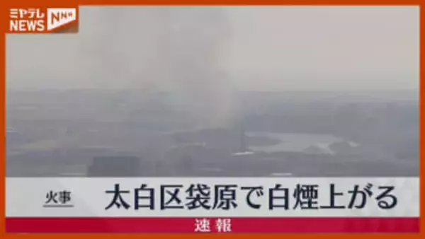 【速報】仙台市若林区日辺で“白煙”、林野火災の可能性（15日午前11時半頃 出火）