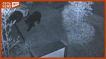【防犯カメラ捉える】仙台市青葉区の住宅地でクマ出没相次ぐ　山開きで注意呼びかけ