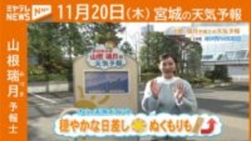 “穏やかな日差し ぬくもりも↑” 20日(木) 宮城の天気