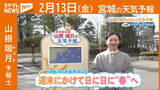 「“週末にかけて 日に日に“春”へ” 13日(金)宮城の天気」の画像1