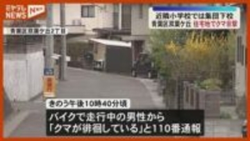 【相次ぐ市街地でのクマ目撃】仙台市青葉区の住宅地で1頭、石巻市や大崎市でも（宮城）