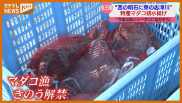 『西の明石に東の志津川…』マダコ漁が解禁、志津川湾で今シーズン初の水揚げ（宮城・南三陸町）