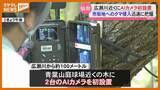 「クマかどうかを自動で判別！仙台市が広瀬川近くにAIカメラ設置　宮城」の画像1