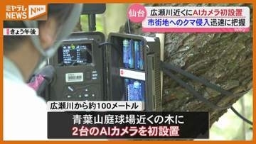 クマかどうかを自動で判別！仙台市が広瀬川近くにAIカメラ設置　宮城